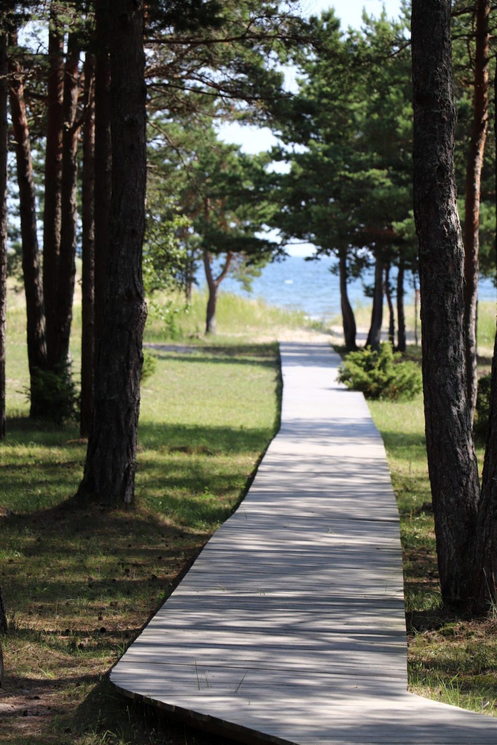 Saaremaa Urlaub mit viel Natur, Badespaß und Kultur Lavendelblog