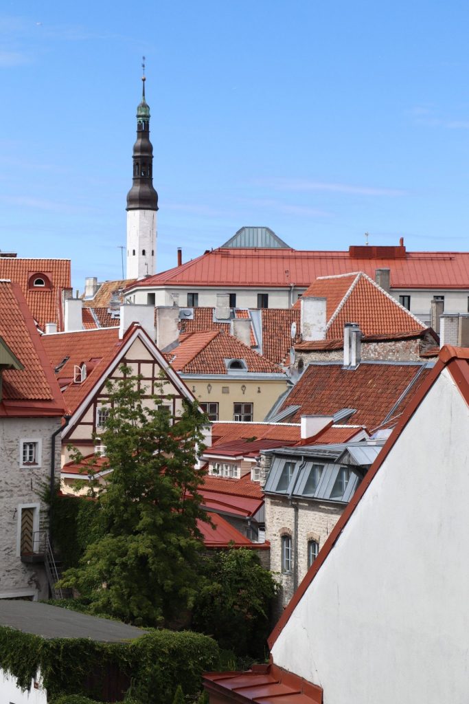 Tallinn Altstadt entdecken