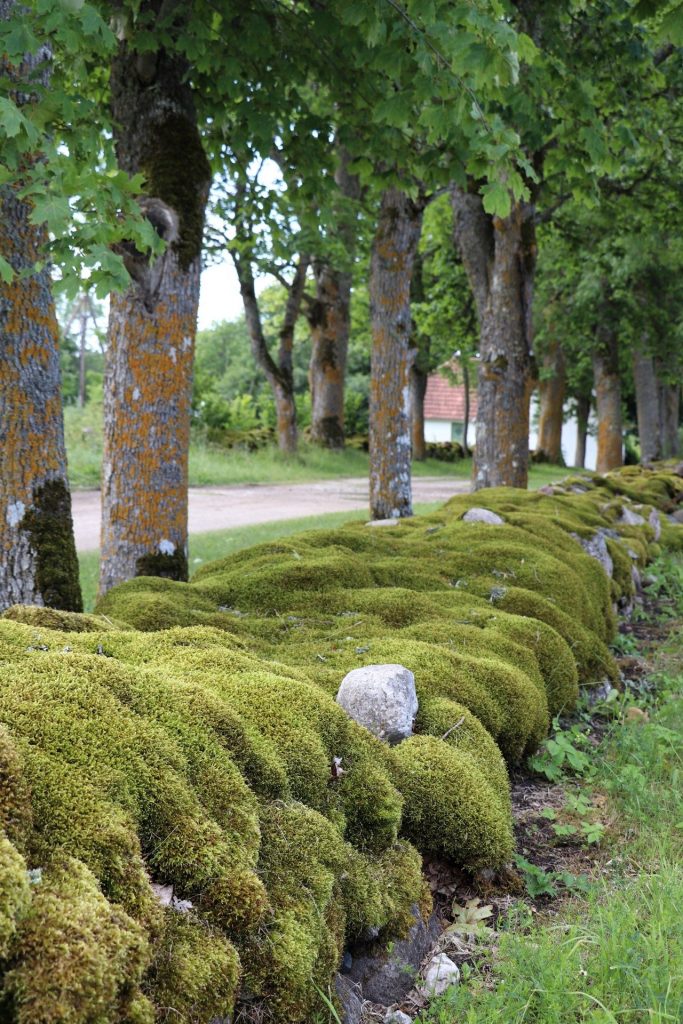 Urlaub Saaremaa Estland