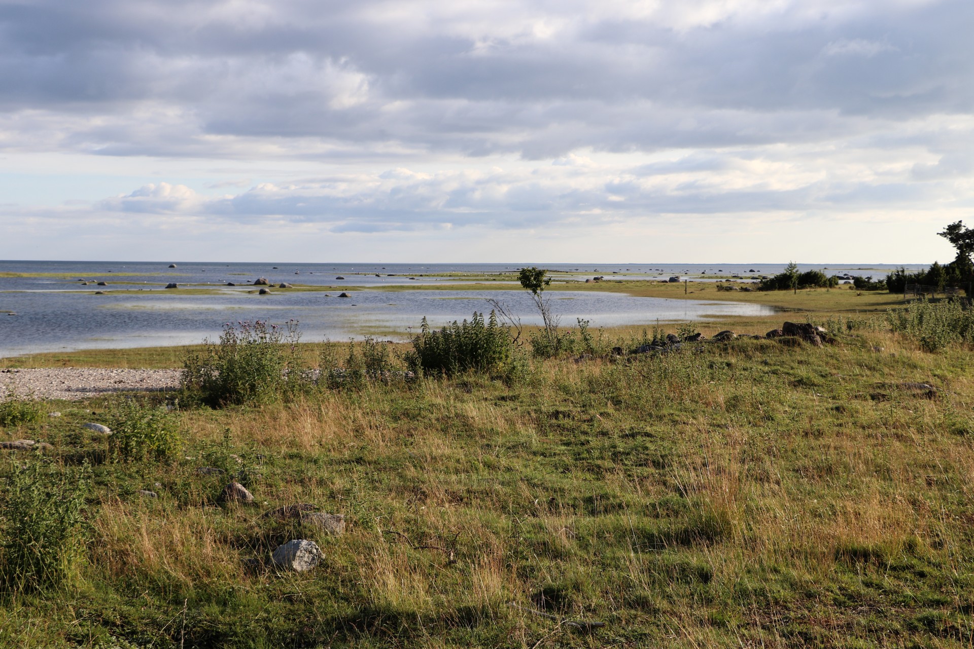 Urlaub Saaremaa Natur