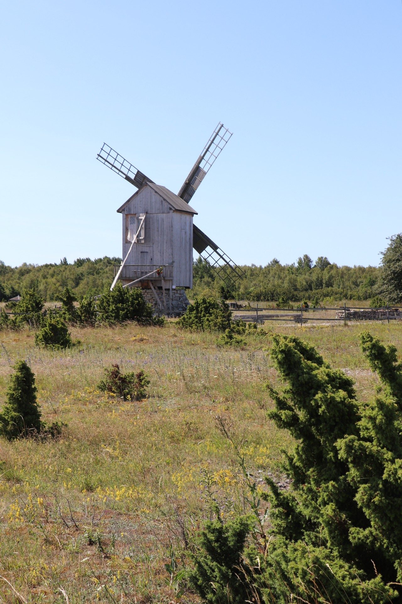 Windmühlen Saaremaa