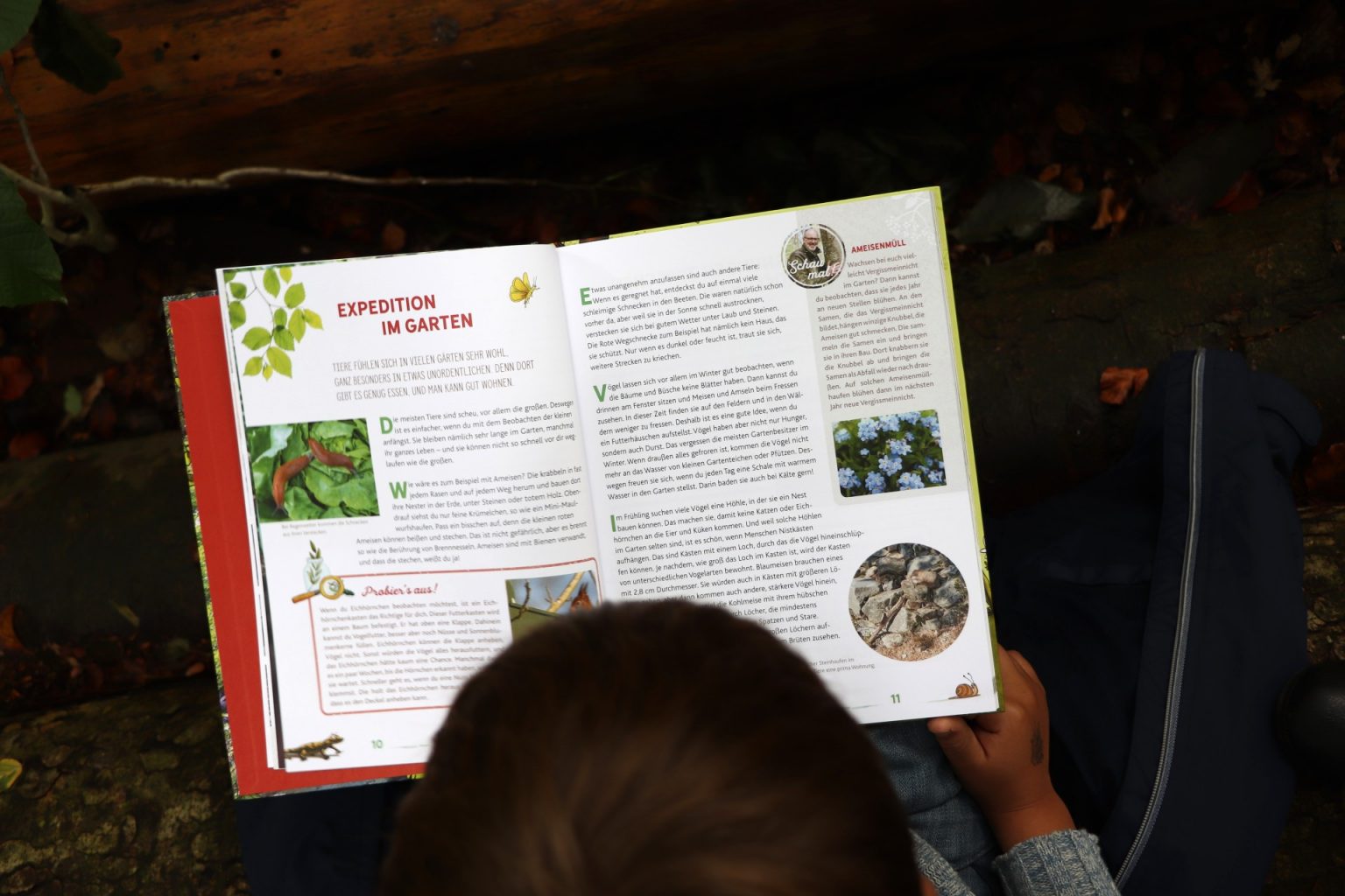 Kinder Sachbuch Tiere Wohlleben