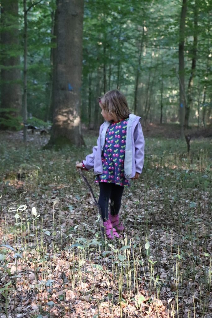 Wald entdecken mit Kindern