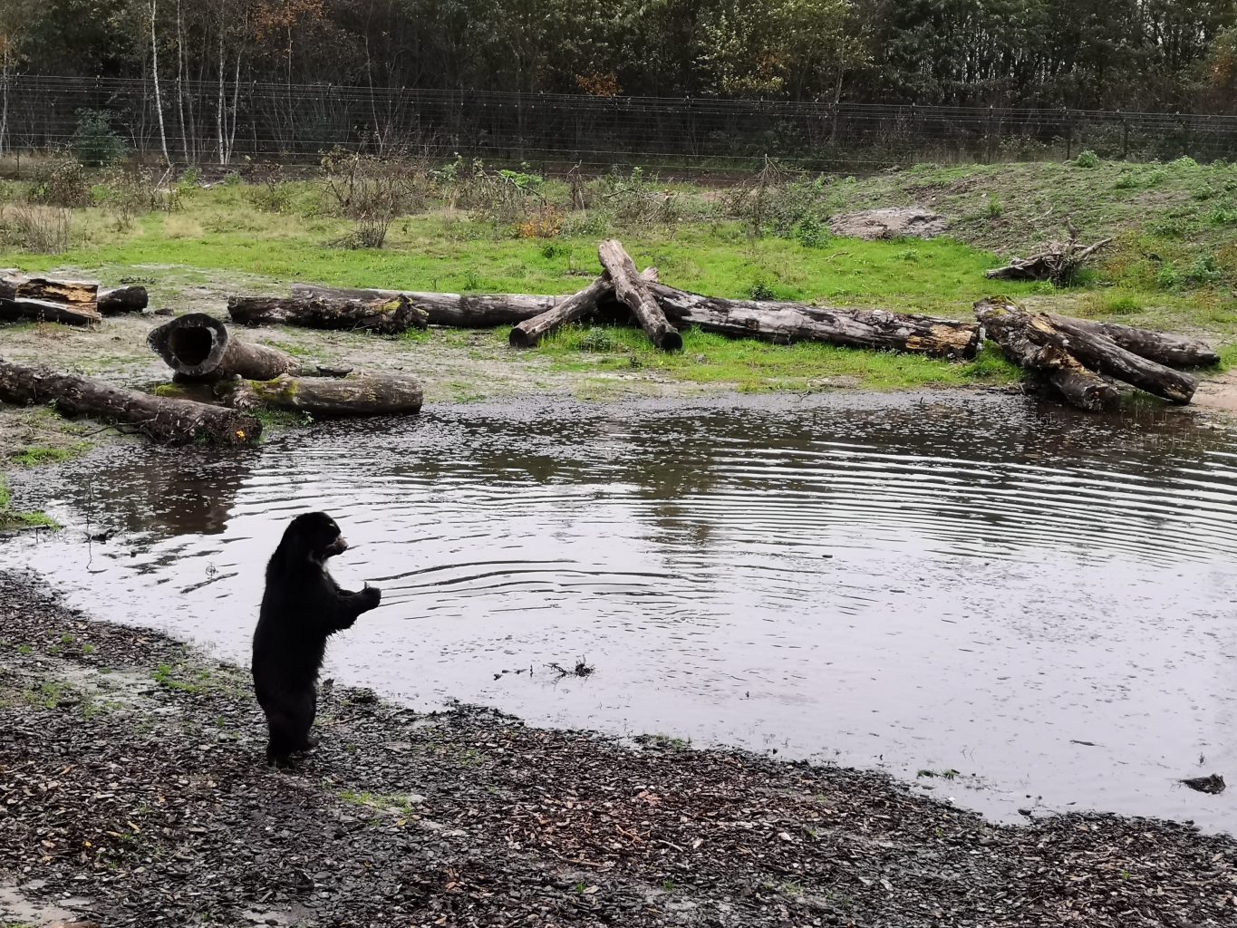 Givskud Zoo Erfahrung