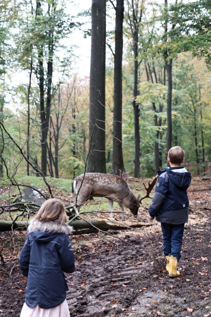 Vejle mit Kinder Tipps