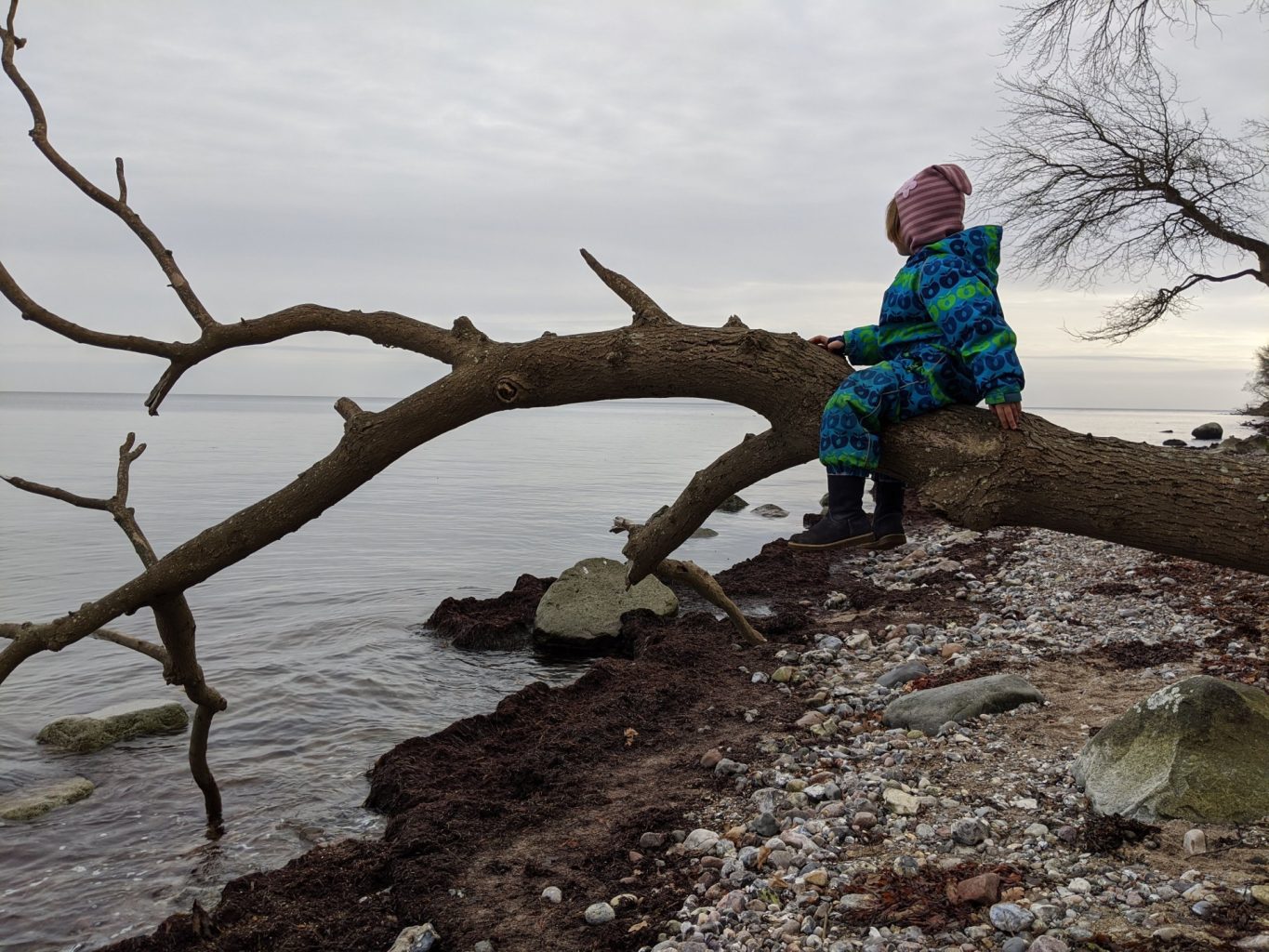 Fehmarn Katharinenhof Strand