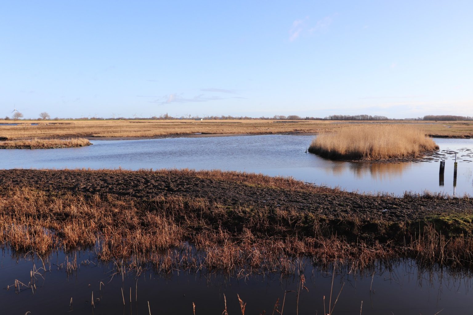 Fehmarn im Winter