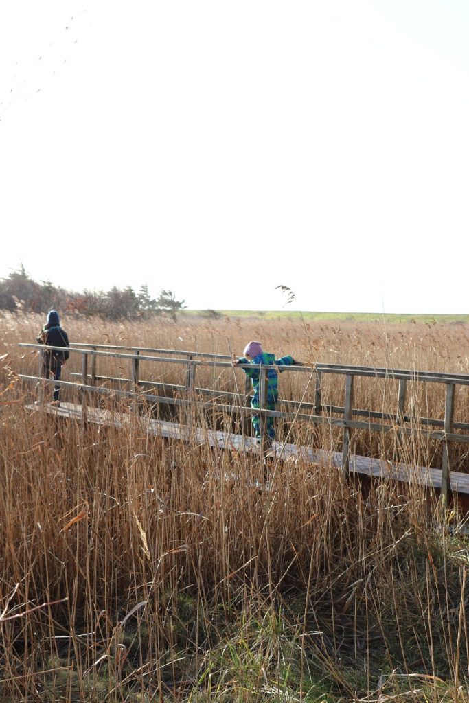 Wallnau Fehmarn