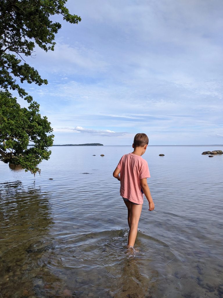 Rügen Bodden