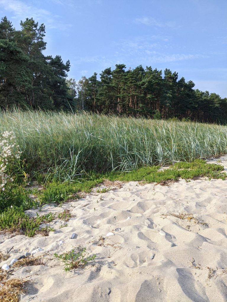 Rügen Strand Tipps