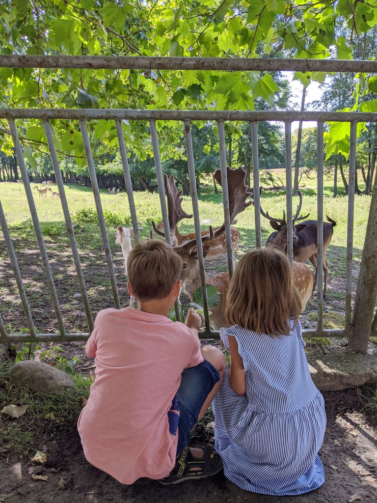 Rügen Wildgehege