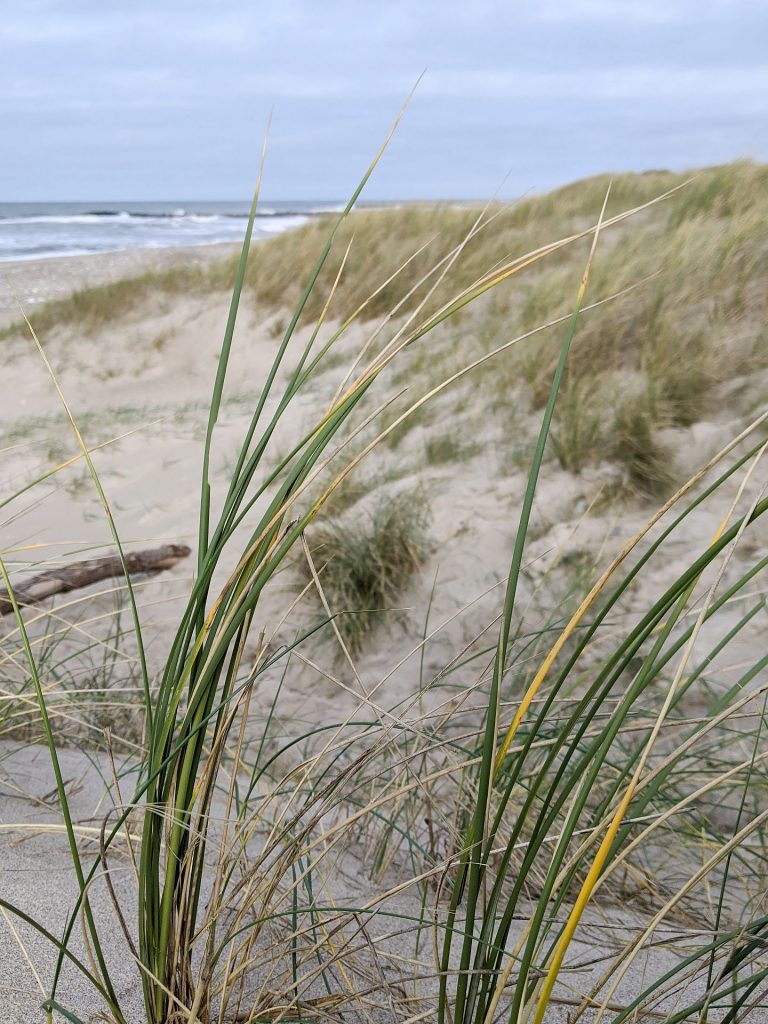 Strand Dänemark