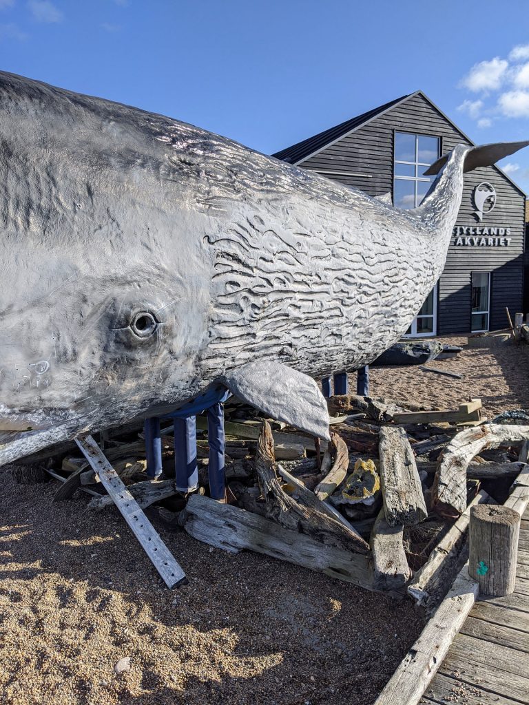 Thyborøn Aquarium Tipps