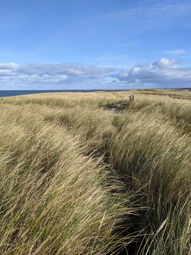 Thyborøn Strand