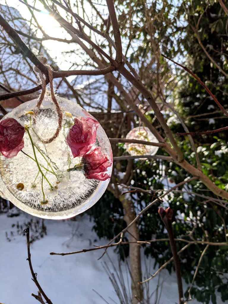 Eisscheiben Winter DIY