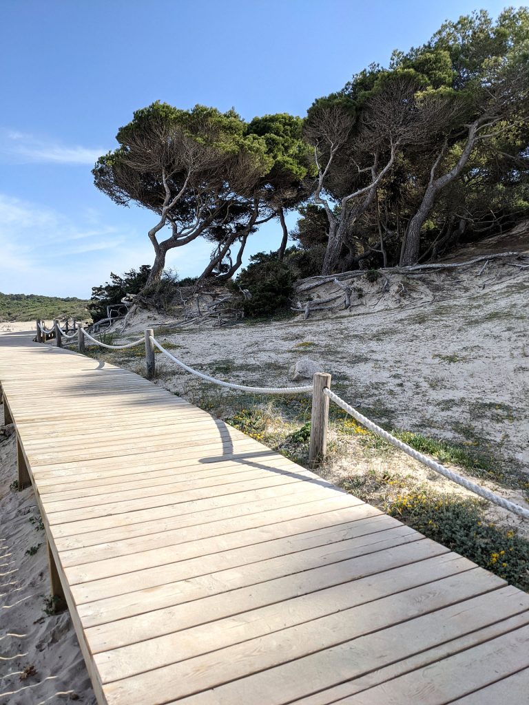 Cala Agulla Mallorca