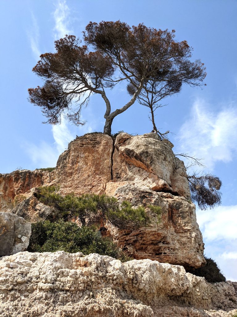 Cala S'Almonia Bucht Mallorca