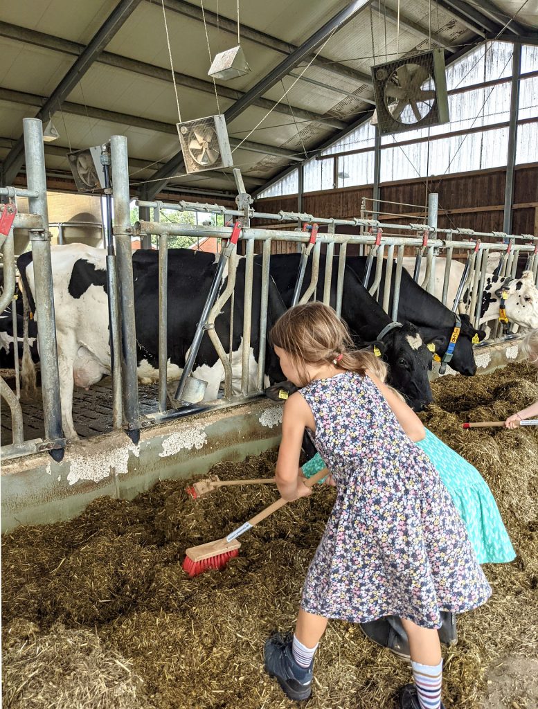 Bauernhof Kindergeburtstag