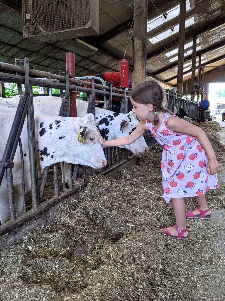 Bauernhofbesuch mit Kindern