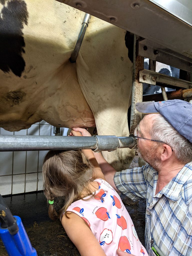 Kuhstall besuchen Hof Evers Wahrenholz