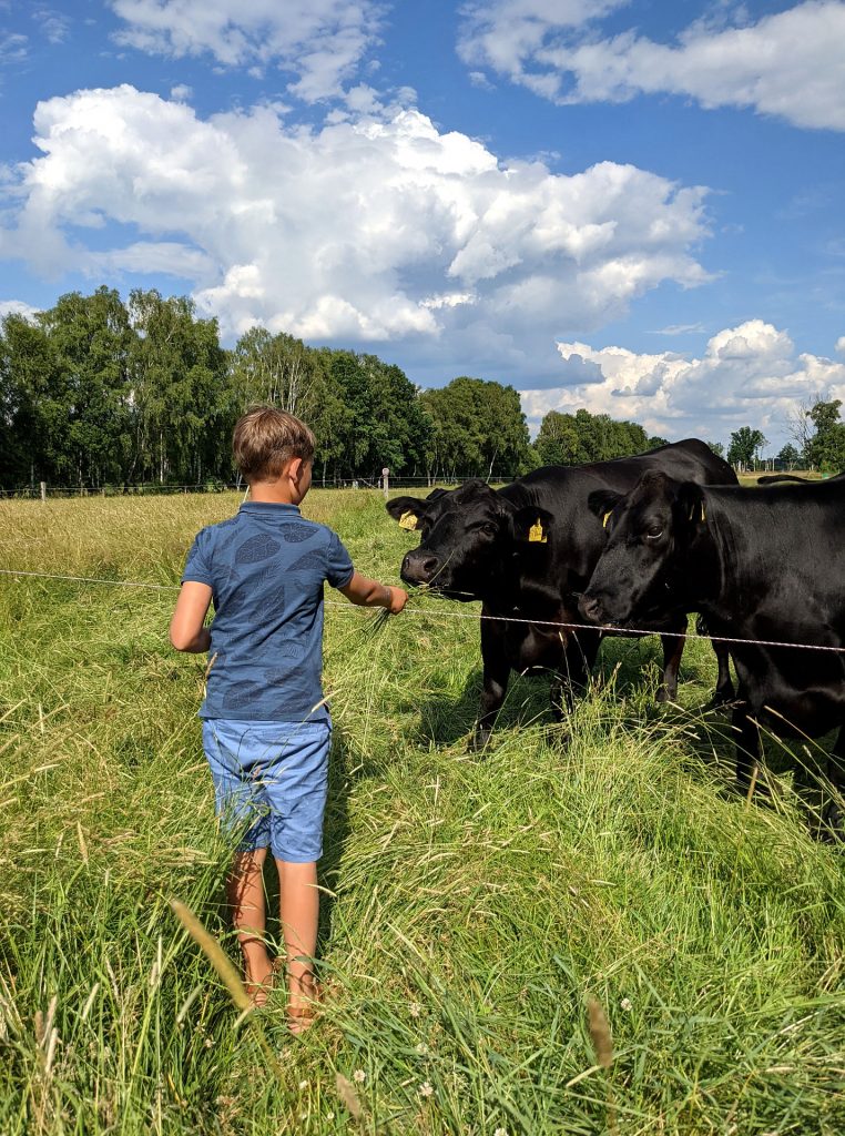 Sommerferien Ideen mit Kindern