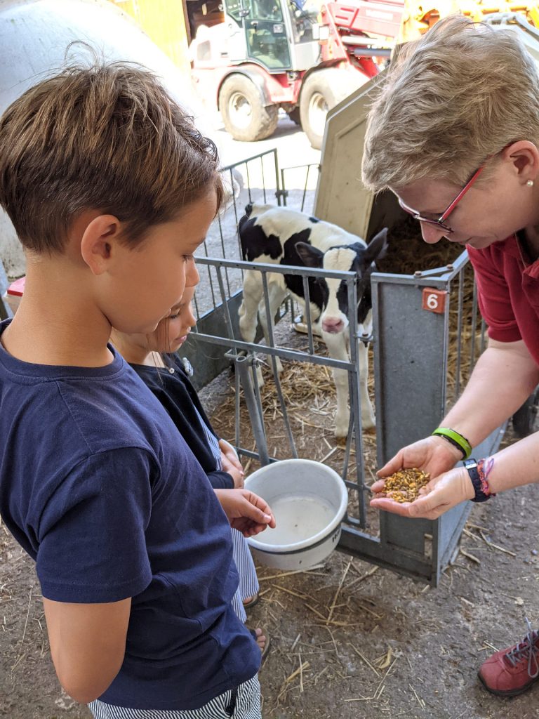 Lernen auf dem Bauernhof