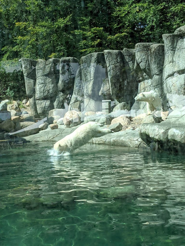 Lohnt sich der Zoo Aalborg