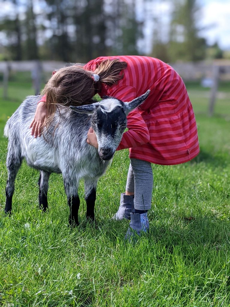 Nordjütland mit Kindern