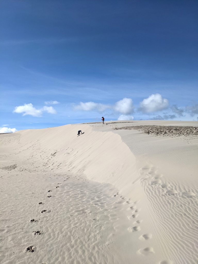 Wanderdüne Dänemark