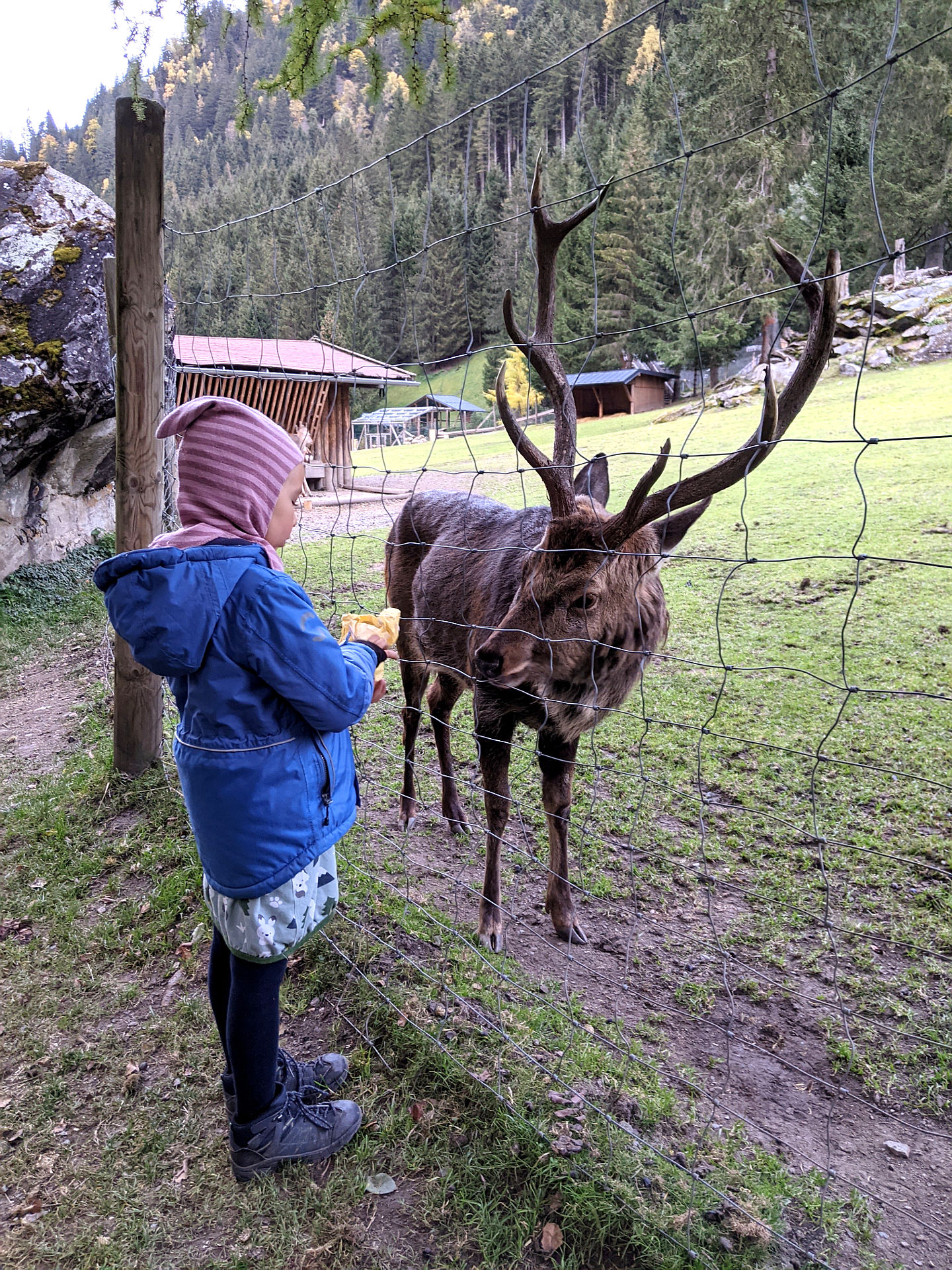 Ausflugsziele Pinzgau mit Kindern