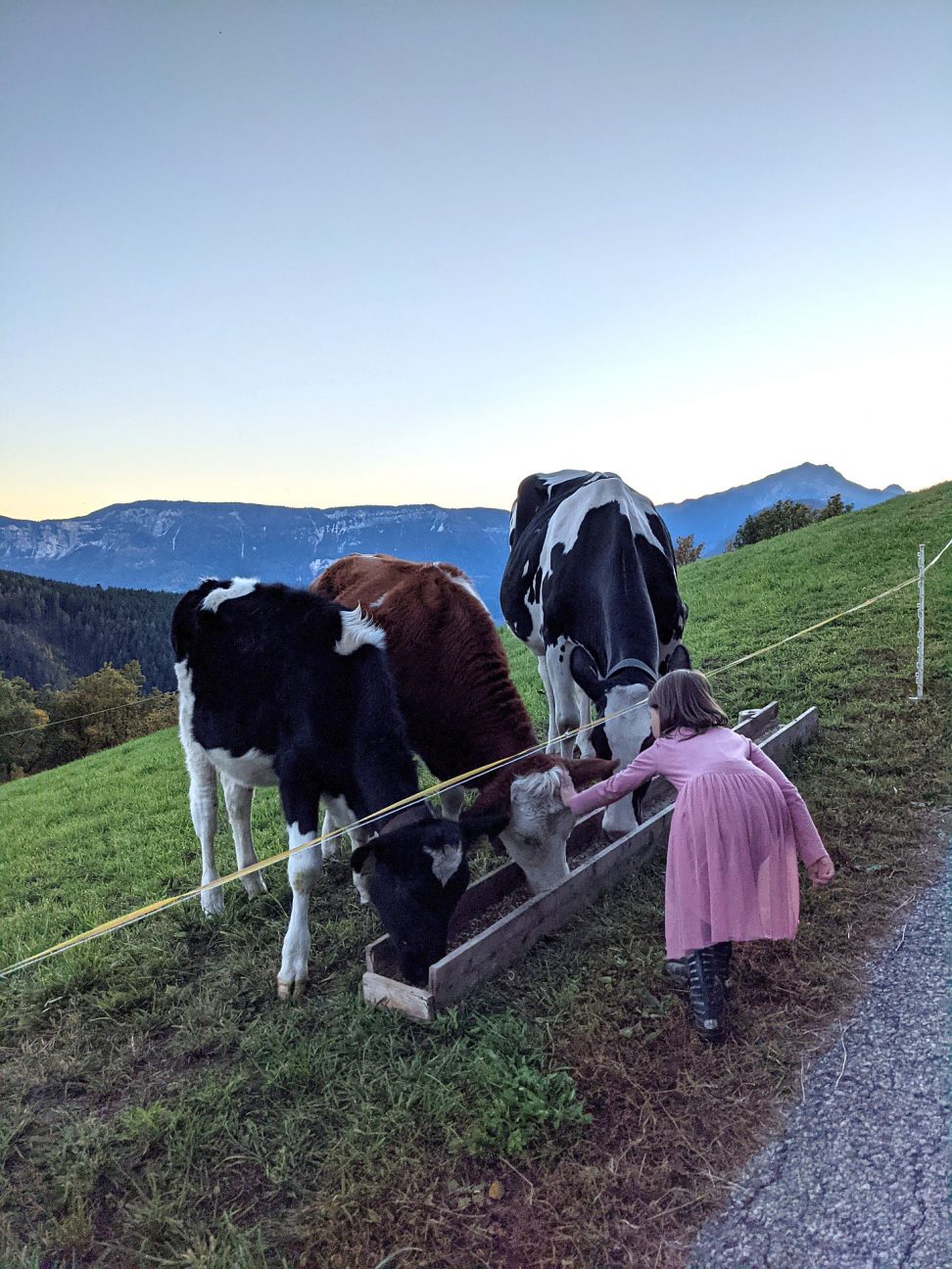 Bauernhofurlaub Südtirol Tipps