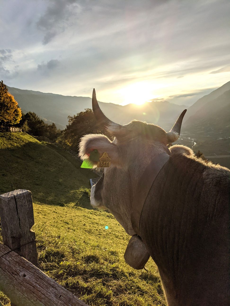 Südtirol Wanderungen mit Kindern