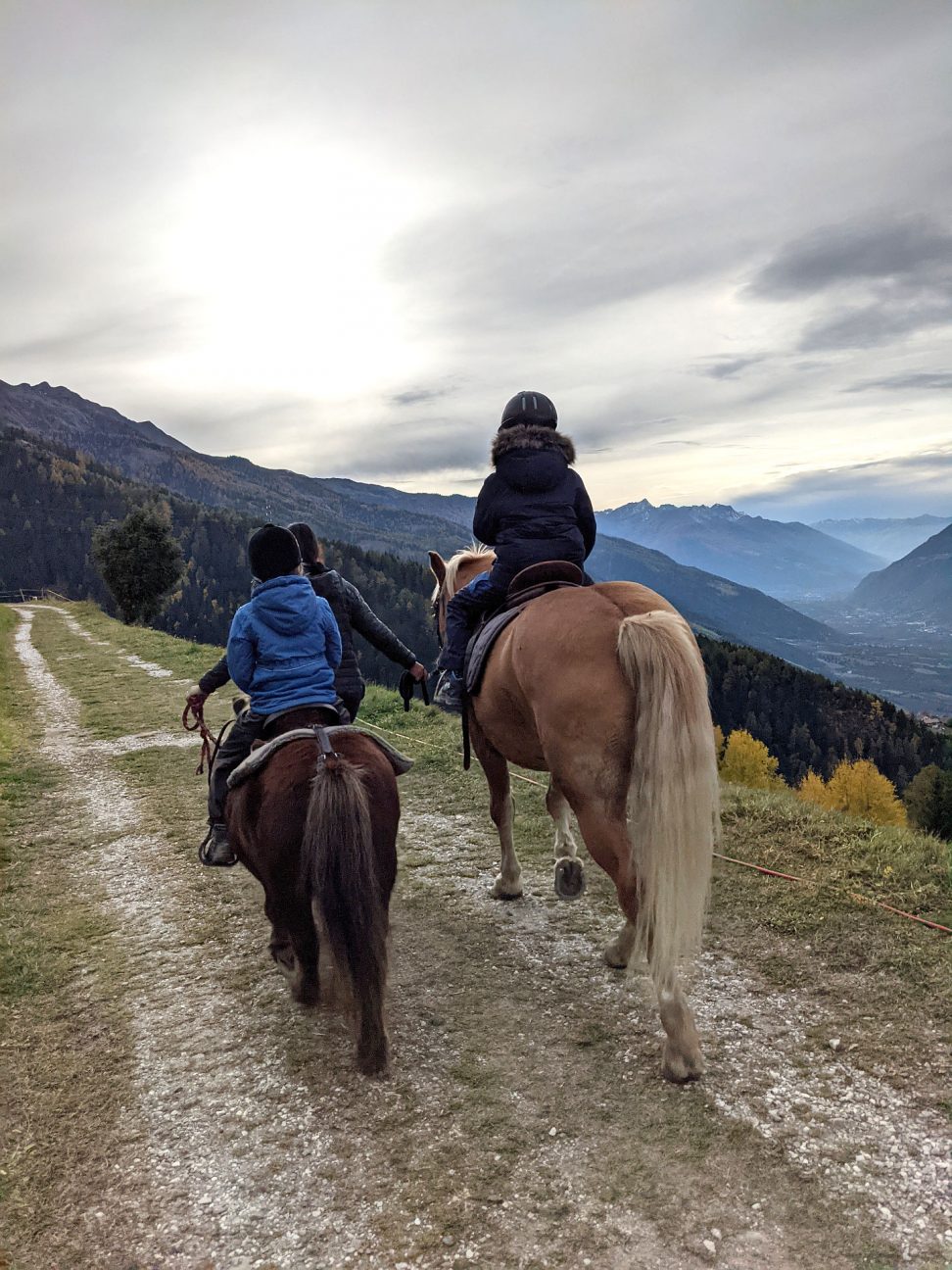 Tholer Hof Aschbach Reiten