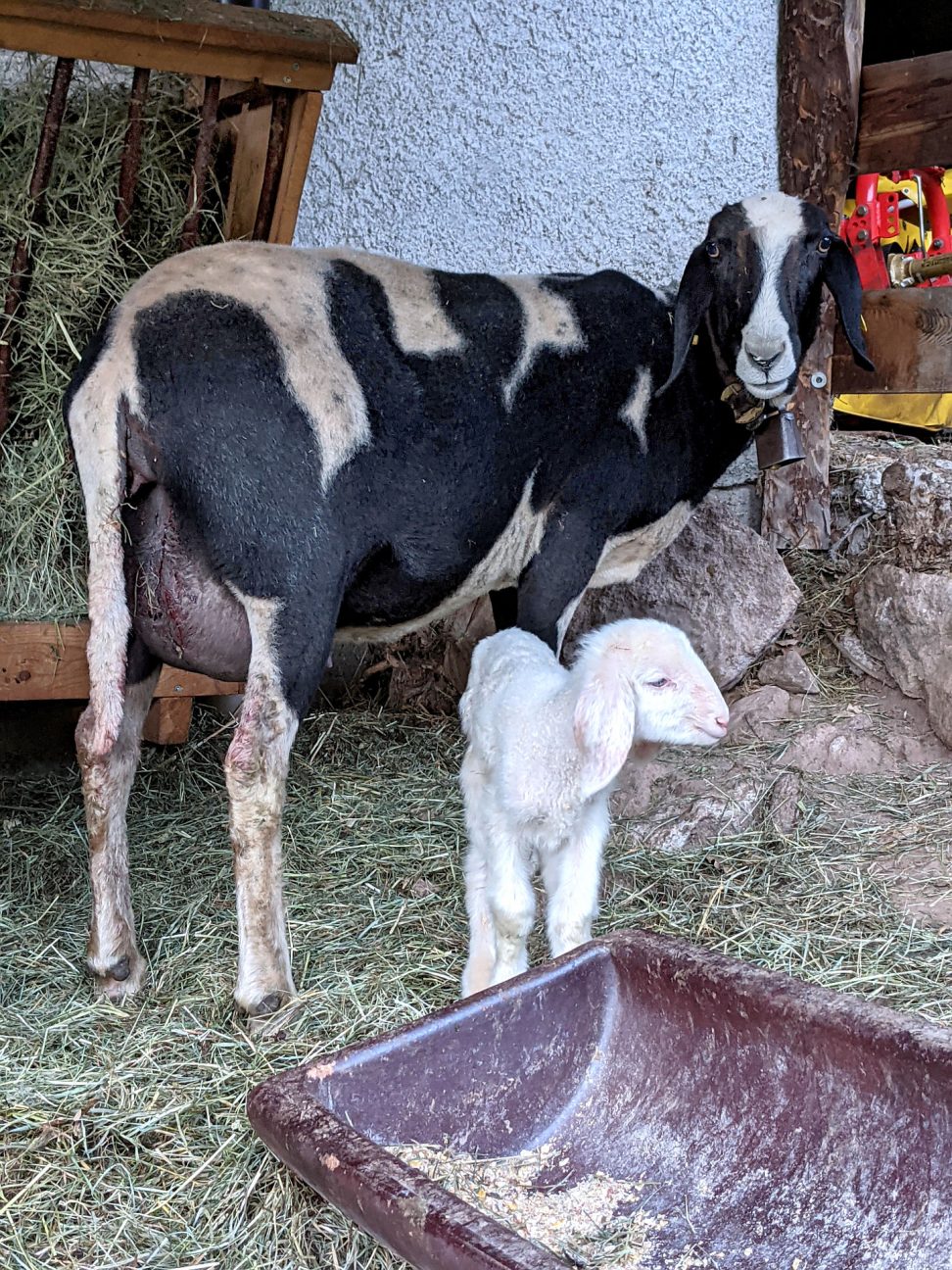 Urlaub auf dem Bauernhof Südtirol