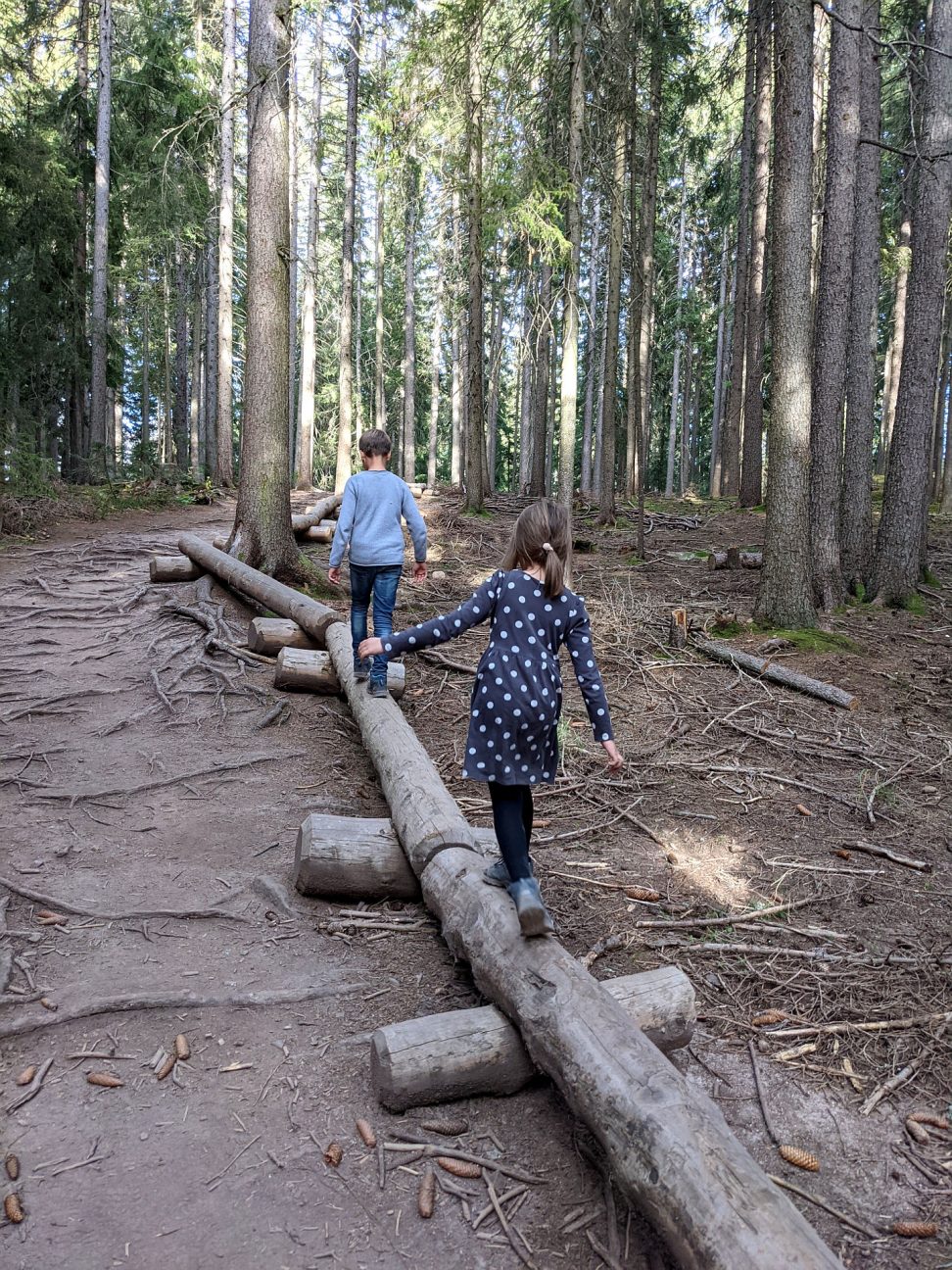 Wandern mit Kindern Südtirol