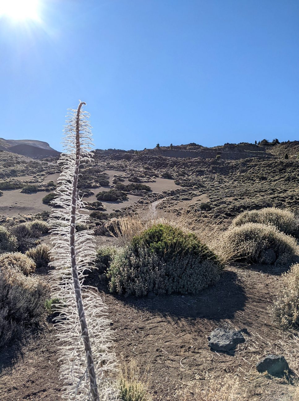 Nationalpark Teide Teneriffa