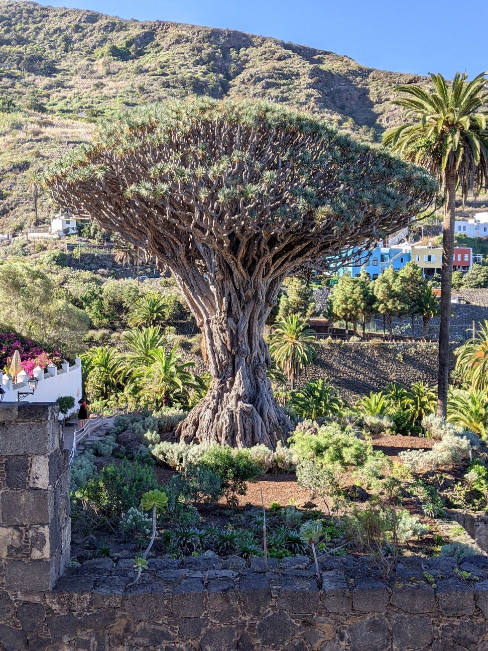 Teneriffa Ausflugstipps Norden