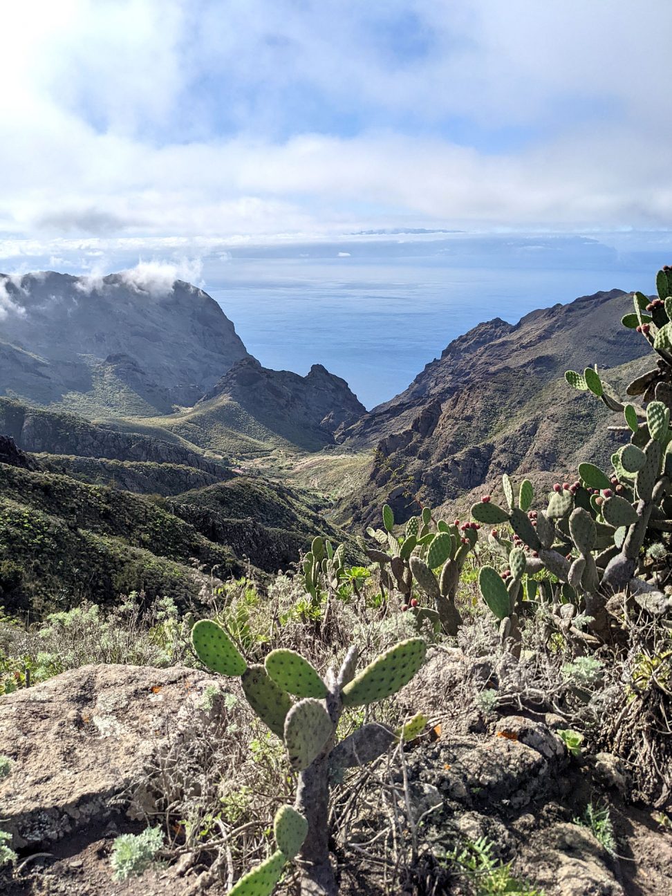 Teneriffa Tenogebirge