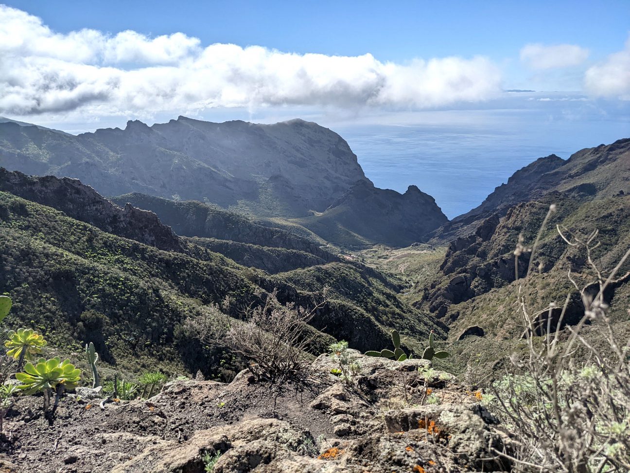 Teneriffa Tenogebirge Tour