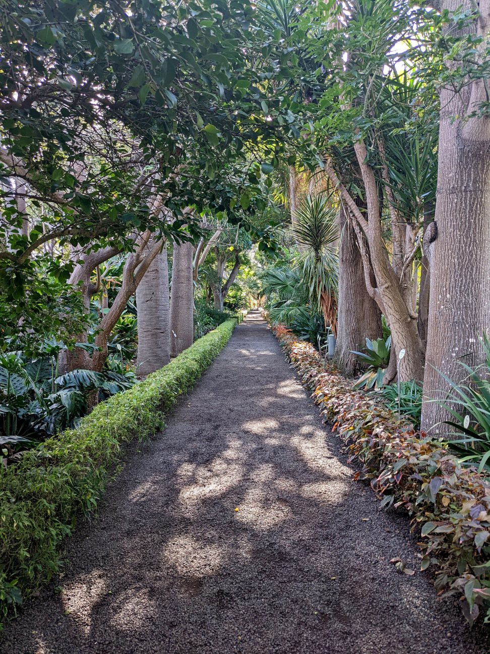 botanischer Garten Puerto de la Cruz