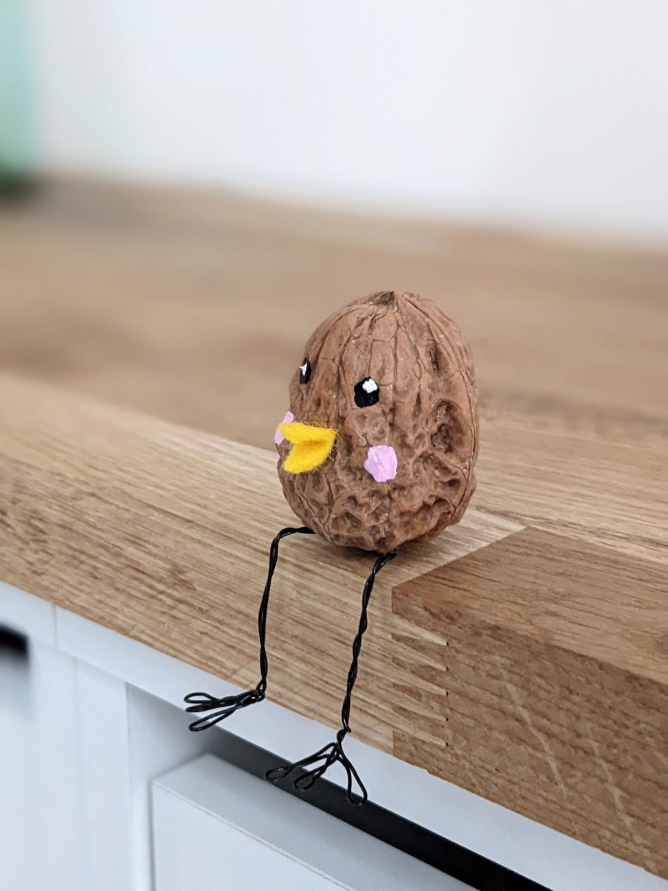 DIY Walnüsse Vögel