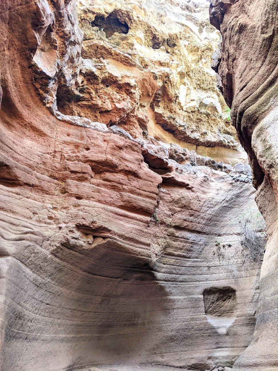 Gran Canaria Canyon