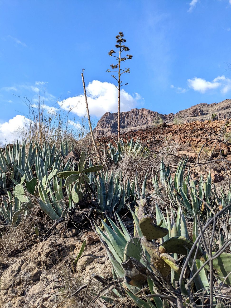 Gran Canaria schönste Orte Must See