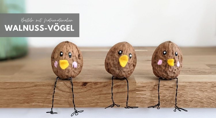 Walnuss Vögel DIY