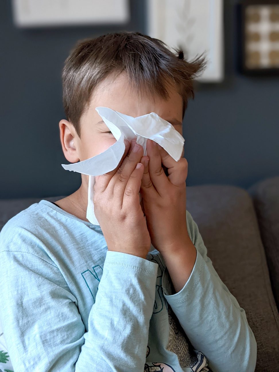 Hausstaubmilben Allergie Hilfe