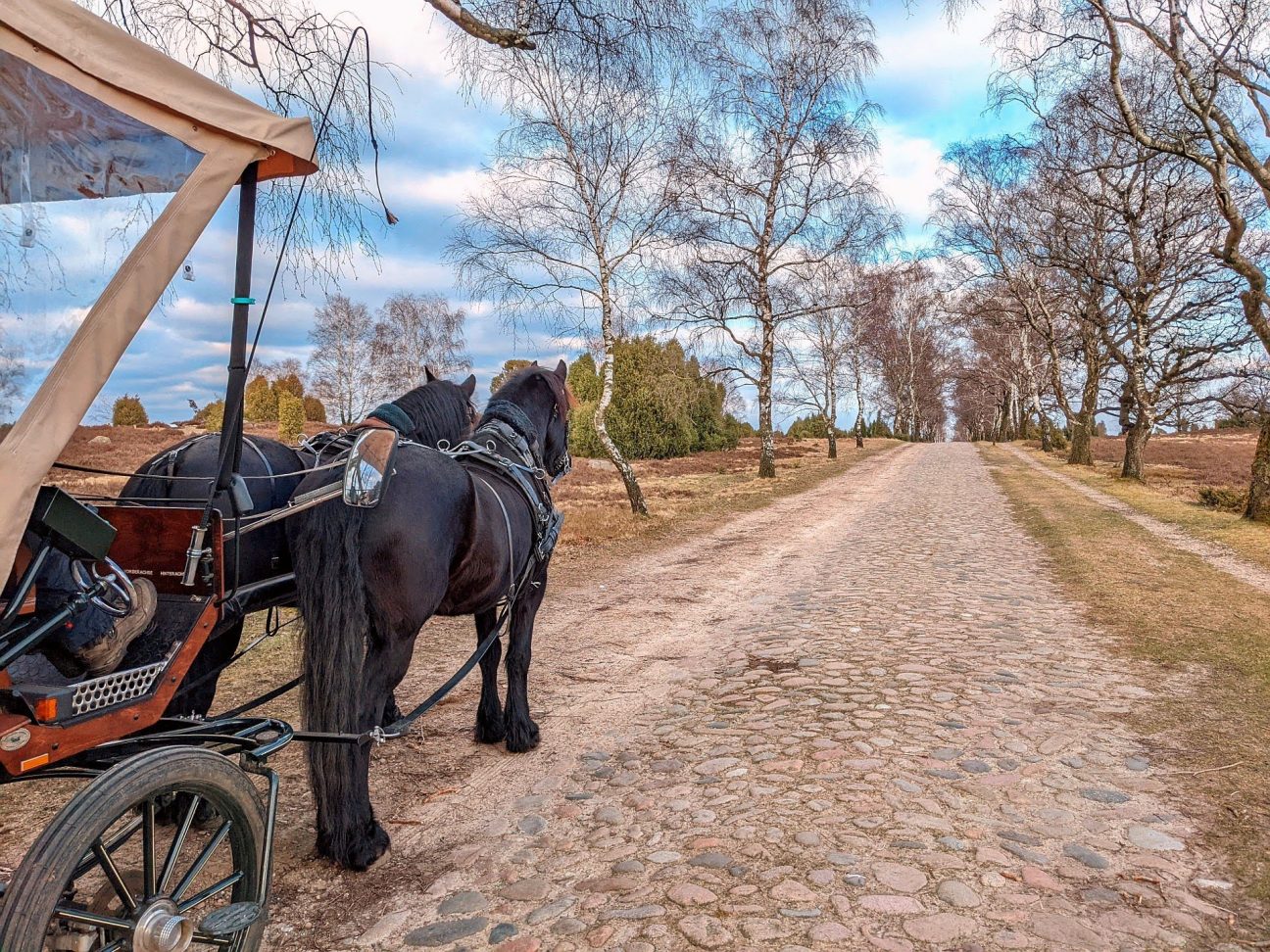 Kutschfahrten Lüneburger Heide