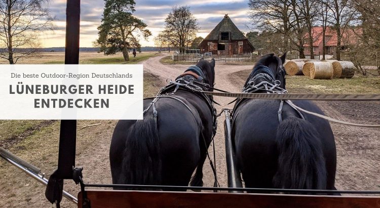 Lüneburger Heide Ausflugsziele