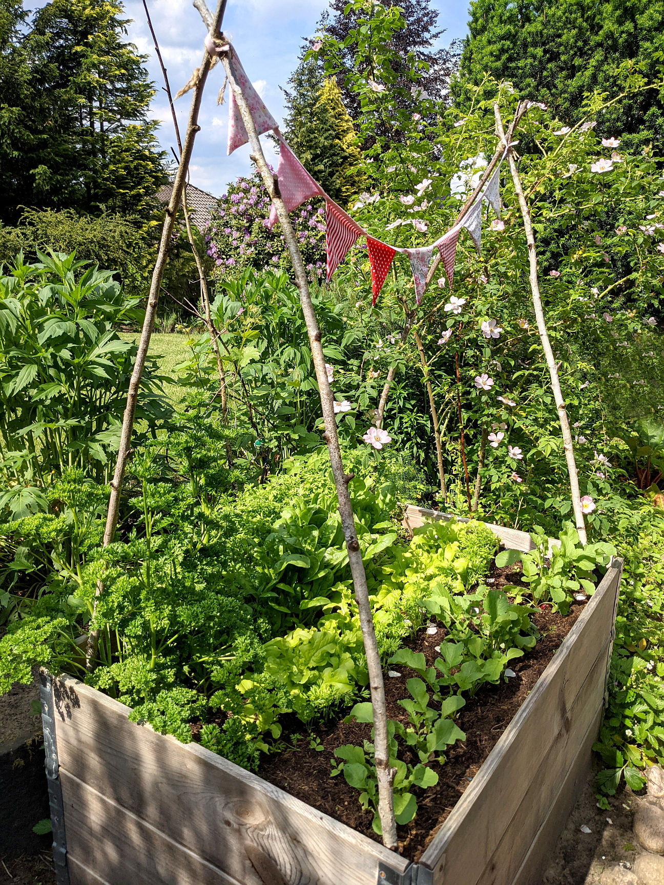 Garten gestalten Hochbeete