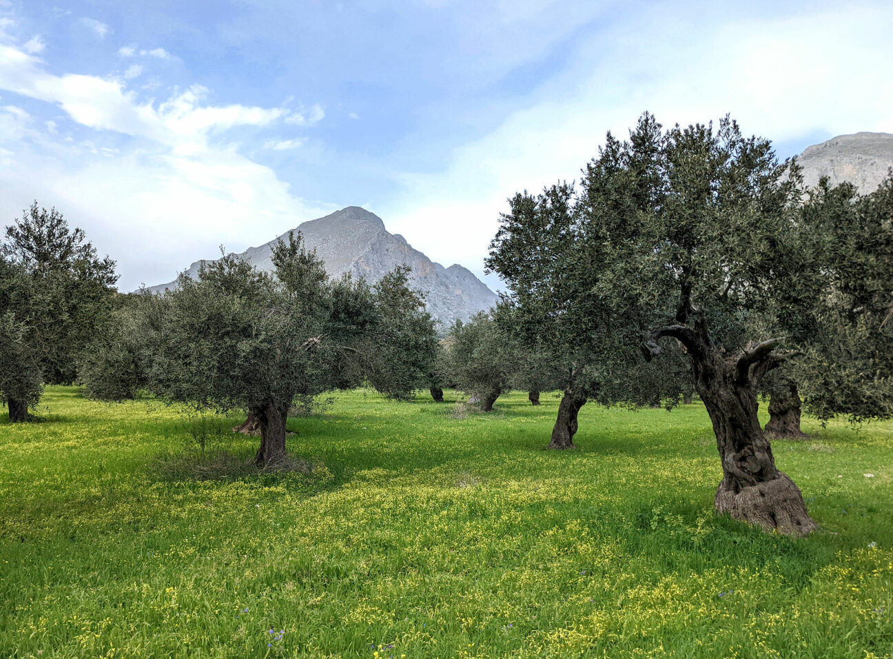 Urlaub in der Natur