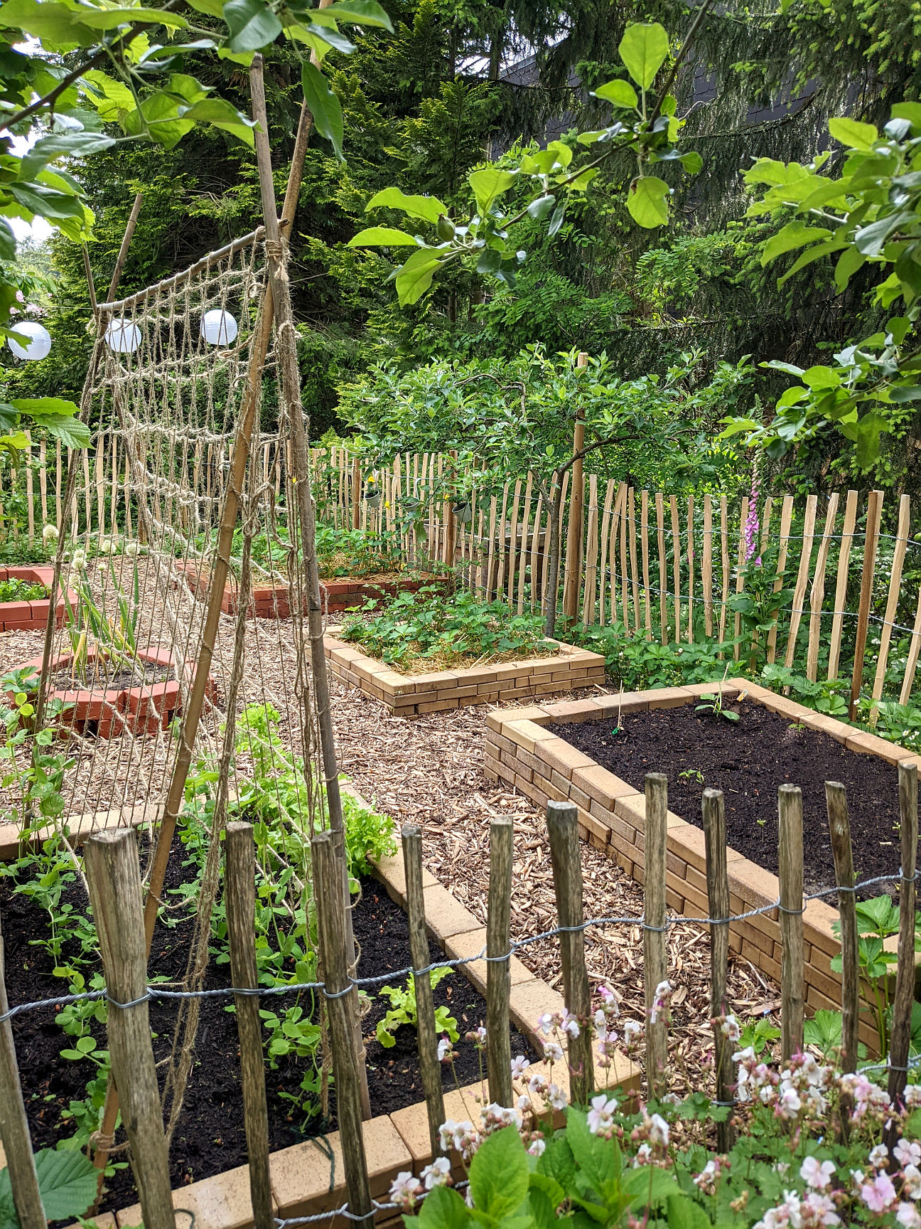 Gemüsegarten anlegen Ideen